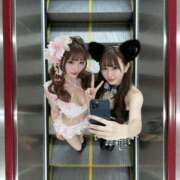 ヒメ日記 2025/11/21 08:30 投稿 くるみ JAPAN CLUB BUNNY LOUNGE