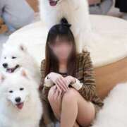 ヒメ日記 2025/11/21 12:30 投稿 くるみ JAPAN CLUB BUNNY LOUNGE