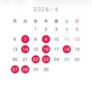 ヒメ日記 2026/03/19 21:01 投稿 くるみ JAPAN CLUB BUNNY LOUNGE