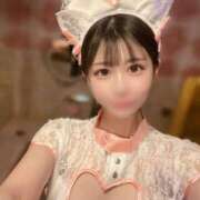 ヒメ日記 2026/08/02 10:23 投稿 くるみ JAPAN CLUB BUNNY LOUNGE
