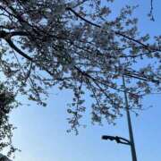 ヒメ日記 2026/04/02 14:15 投稿 りり 立川ちゃんこ