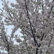 ヒメ日記 2026/03/24 09:18 投稿 るな ノーブラで誘惑する奥さん谷九・日本橋