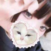 白鳥　おと 今日も元気に出勤してます✨ ZENITH spa（ゼニススパ）