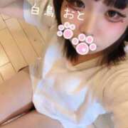 白鳥　おと 今日も元気にお兄さんのこと待ってるね ZENITH spa（ゼニススパ）