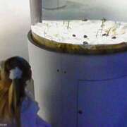 えと しゅ スパーク日本橋