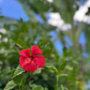 ヒメ日記 2025/09/21 09:06 投稿 西里せな Finemotion