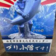 ヒメ日記 2026/03/15 15:35 投稿 西里せな Finemotion