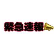 ヒメ日記 2026/05/11 00:27 投稿 西里せな Finemotion