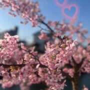 ヒメ日記 2026/03/05 16:13 投稿 神木 真帆 こあくまな人妻・熟女たち山口店（KOAKUMAグループ）