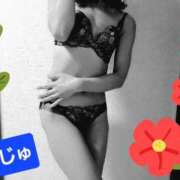 あんじゅ あいたい… 柏人妻花壇