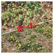 ヒメ日記 2026/03/22 05:18 投稿 あんじゅ 柏人妻花壇