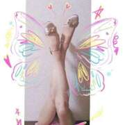 ヒメ日記 2026/04/23 05:59 投稿 あんじゅ 柏人妻花壇