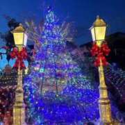 ヒメ日記 2025/12/11 09:49 投稿 ひめか 待ちナビ