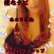 ヒメ日記 2025/09/26 06:45 投稿 みさき 待ちナビ