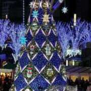 ヒメ日記 2025/12/13 18:15 投稿 みさき 待ちナビ