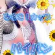 ヒメ日記 2026/05/13 11:55 投稿 みさき 待ちナビ