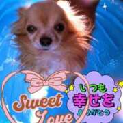 ヒメ日記 2026/07/12 15:46 投稿 みさき 待ちナビ