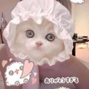 ヒメ日記 2025/12/09 19:02 投稿 きり スピード難波店