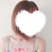 ヒメ日記 2025/11/18 07:53 投稿 しずく 秘密の出張部屋