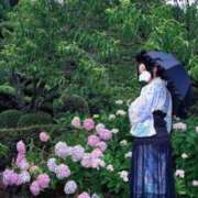 ヒメ日記 2026/06/23 20:05 投稿 ☆みつ☆ ◆プラウディア◆AAA級素人娘在籍店