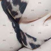 ヒメ日記 2026/03/03 13:11 投稿 七瀬-ななせ 熟女10000円デリヘル 川崎