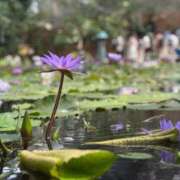 ヒメ日記 2025/09/12 23:48 投稿 新人もも☆カップル可/3P可 セレブ パラダイス