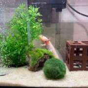 ヒメ日記 2025/09/15 10:33 投稿 新人もも☆カップル可/3P可 セレブ パラダイス