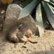 ヒメ日記 2025/09/22 00:09 投稿 新人もも☆カップル可/3P可 セレブ パラダイス