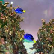 ヒメ日記 2025/10/02 17:51 投稿 新人もも☆カップル可/3P可 セレブ パラダイス