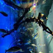 ヒメ日記 2025/10/09 08:21 投稿 新人もも☆カップル可/3P可 セレブ パラダイス