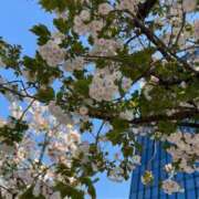 ヒメ日記 2025/10/21 10:21 投稿 新人もも☆カップル可/3P可 セレブ パラダイス