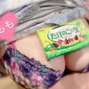 ヒメ日記 2025/10/30 11:18 投稿 新人もも☆カップル可/3P可 セレブ パラダイス