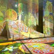 ヒメ日記 2025/11/05 12:03 投稿 新人もも☆カップル可/3P可 セレブ パラダイス