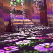 ヒメ日記 2025/11/13 14:03 投稿 新人もも☆カップル可/3P可 セレブ パラダイス