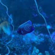 ヒメ日記 2025/12/15 09:48 投稿 新人もも☆カップル可/3P可 セレブ パラダイス