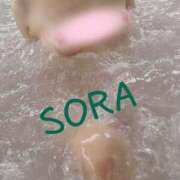 ヒメ日記 2025/09/30 08:04 投稿 そら 華美人