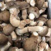 ヒメ日記 2025/09/30 20:16 投稿 そら 華美人