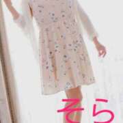 ヒメ日記 2025/10/09 08:19 投稿 そら 華美人