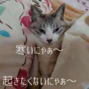 ヒメ日記 2025/11/12 08:16 投稿 そら 華美人