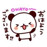 ヒメ日記 2025/12/14 09:35 投稿 そら 華美人