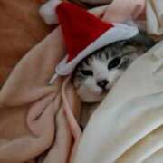 ヒメ日記 2025/12/25 07:03 投稿 そら 華美人