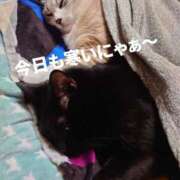 ヒメ日記 2026/01/23 07:20 投稿 そら 華美人