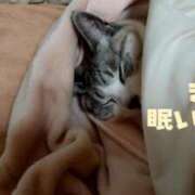 ヒメ日記 2026/02/08 08:02 投稿 そら 華美人