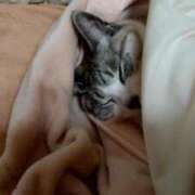 ヒメ日記 2026/03/08 09:01 投稿 そら 華美人