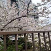 ヒメ日記 2026/04/06 09:44 投稿 そら 華美人