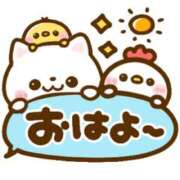 ヒメ日記 2026/08/18 08:14 投稿 そら 華美人