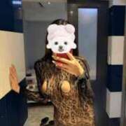 ヒメ日記 2026/03/21 23:19 投稿 夏音りょうか ウルトラロイヤル