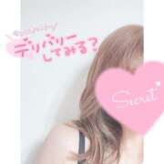 ヒメ日記 2025/09/16 10:30 投稿 ゆみ 千葉人妻セレブリティ（ユメオト）