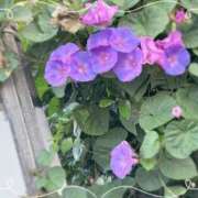 ヒメ日記 2025/11/27 08:40 投稿 みら わちゃわちゃ密着リアルフルーちゅ西船橋