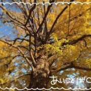 ヒメ日記 2025/12/01 10:50 投稿 みら わちゃわちゃ密着リアルフルーちゅ西船橋